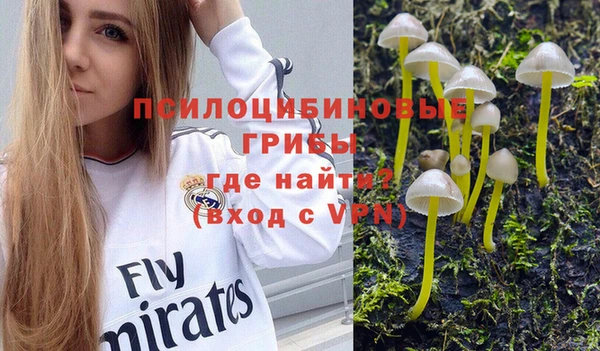марки lsd Михайлов