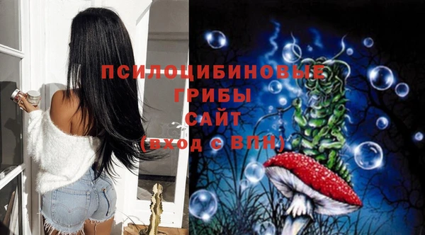 марки lsd Михайлов