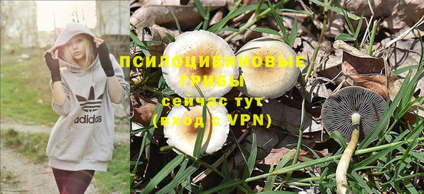 дурь Михайловка