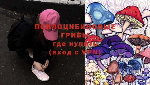 Альфа ПВП Михайловск