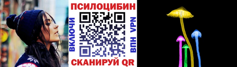 Псилоцибиновые грибы Cubensis  Тогучин 