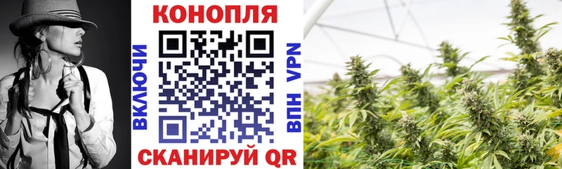 Конопля ГИДРОПОН  Тогучин 